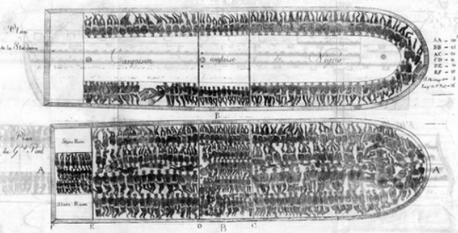 Image of the layout of an occupied slave ship.